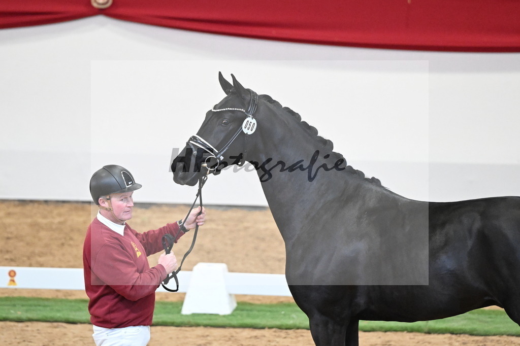 Kat.-Nr. 50 v. Donier_Meyer_2250180 | hf-fotografie - Realisiert mit Pictrs.com