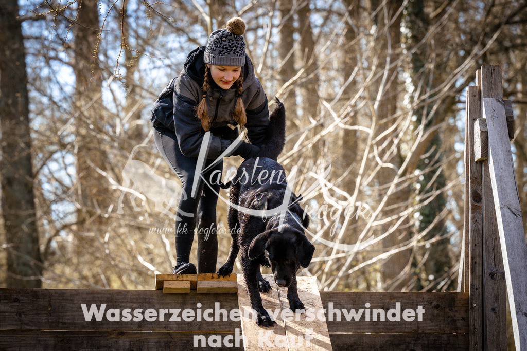 0910_ZZ93949-2 | kk-dogfotos