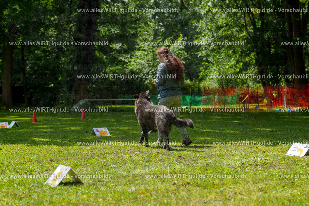 @allesWIRTHgut_Tierfotografie - www.allesWIRTHgut.de - 7R504687 | Professionelle Tierfotografie in Mönchengladbach von Daniel Wirth (allesWIRTHgut). Liebevolle & natürliche Bilder von Hunden & Katzen für unvergessliche Erinnerungen.
