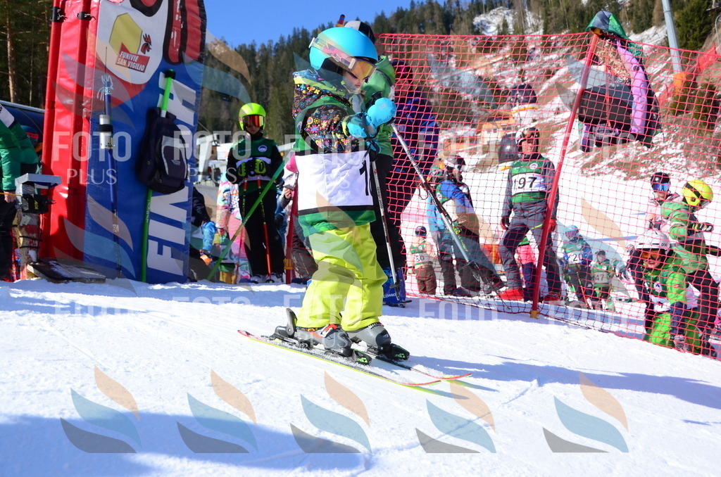 C4695 | holidayphoto