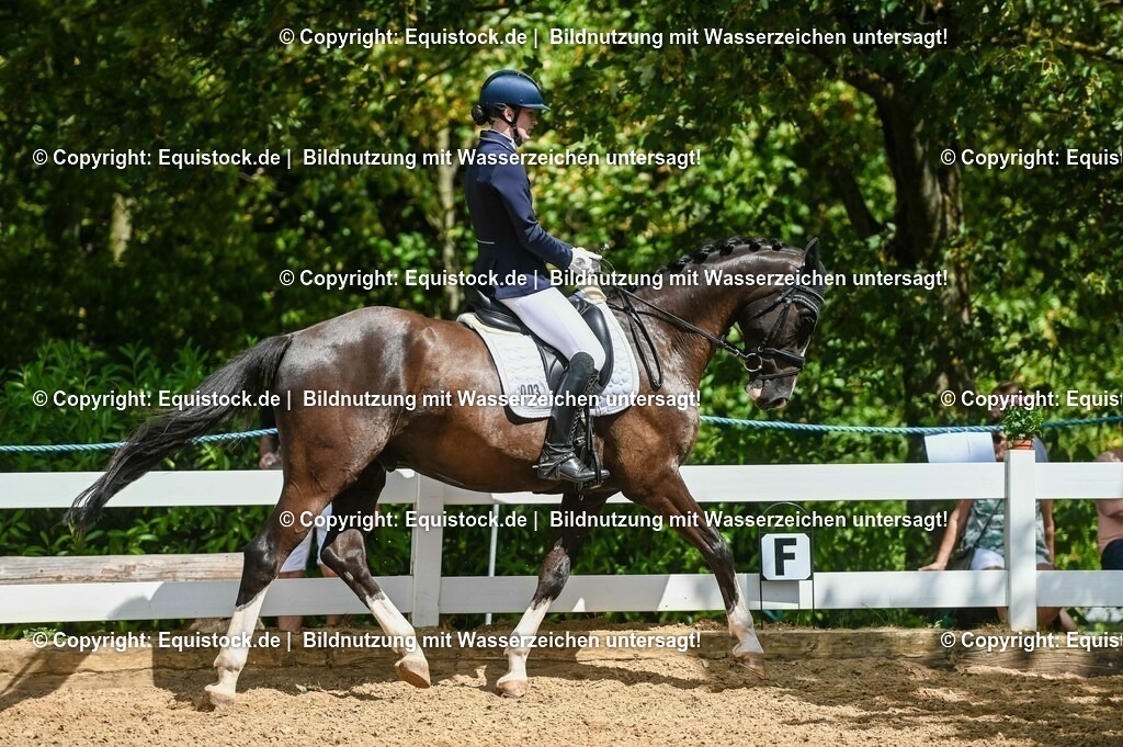 20230715_02_Dressurreiterprüfung Kl.L_0264 | equistock