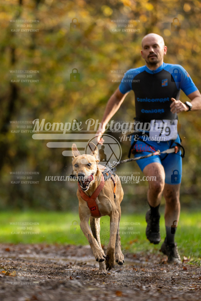 MompixPhotography_Bischwiller23_Canicross-6 | PayLife