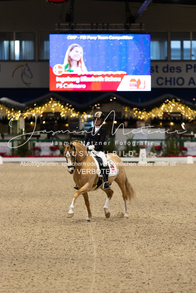 126A4811 | jasminmetznerfotografie