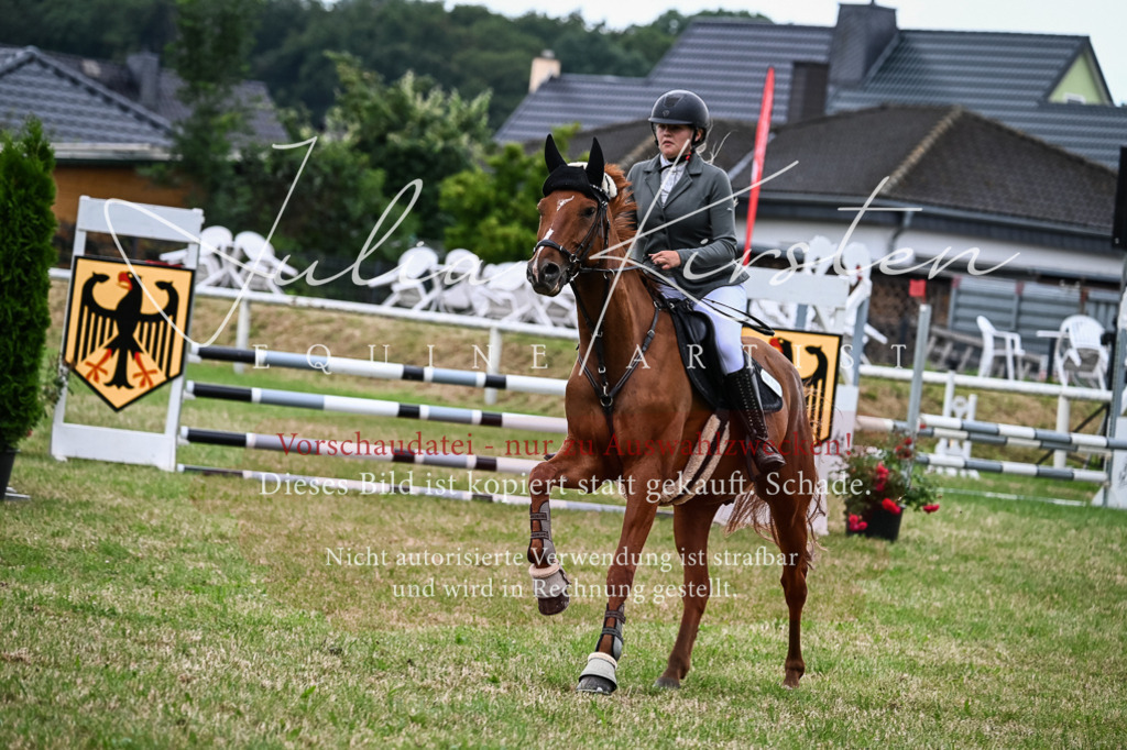 DSC_8454 | Pferde- und Turnierfotografie in Westsachsen. Pferdeportraits, Auftragszeichnungen und intuitive Kunst.