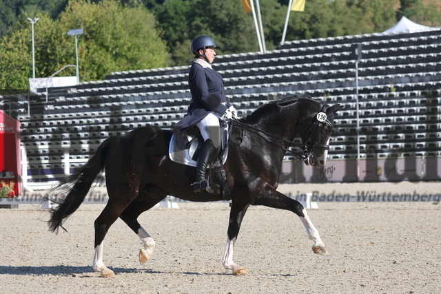 Marbach_2024_Prfg.Nr.11_Dressurprfg.Kl.S_Angela Kraut_Shiraz 31 (2) | Alle Fotos der Reiterjournal Fotografin Doris Matthaes im Reiterjournal Online-Fotoshop. - Realizado com Pictrs.com
