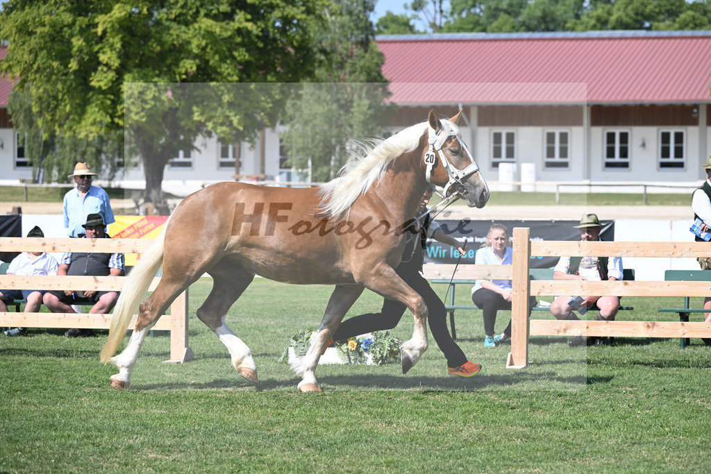 Kat-Nr. 20 Hanna N_Neumayr_20230302 | hf-fotografie - Realisiert mit Pictrs.com