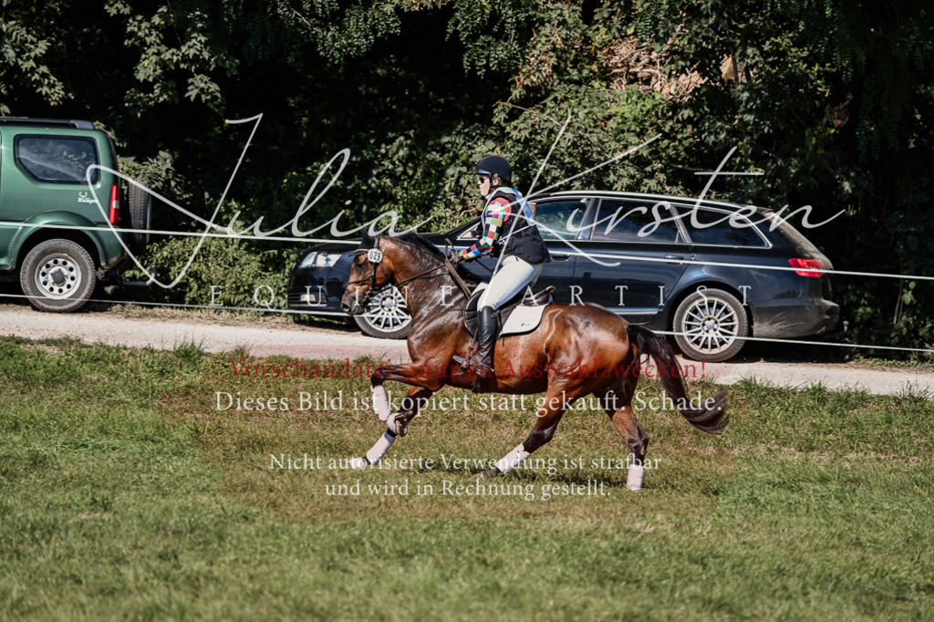 DSC_1554 | Pferde- und Turnierfotografie in Westsachsen. Pferdeportraits, Auftragszeichnungen und intuitive Kunst.