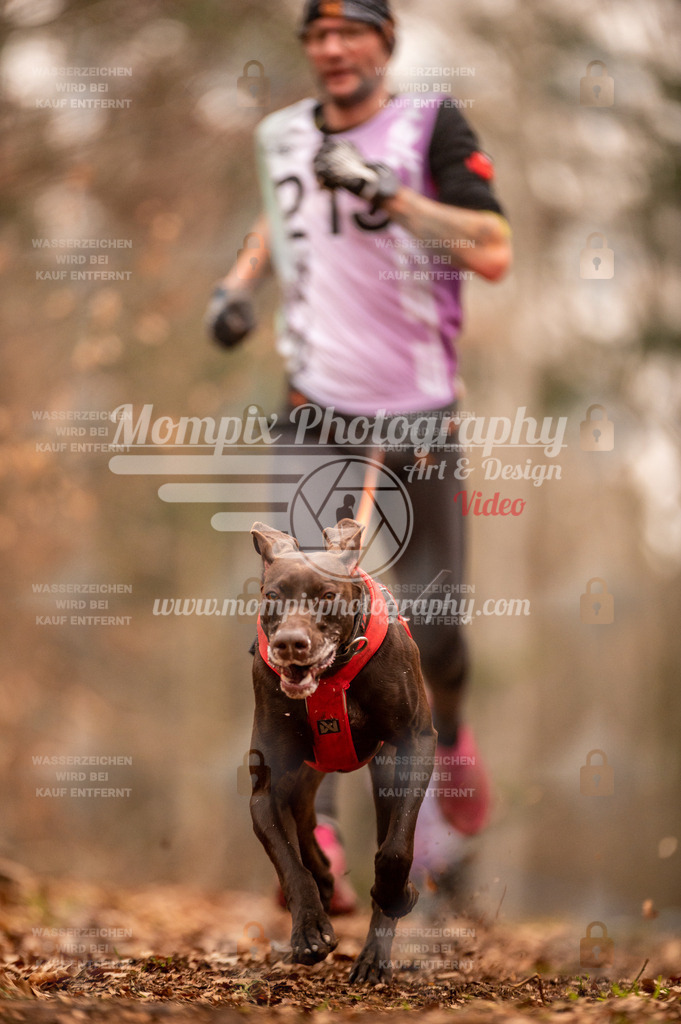 AKM_ST_2023_SAM_Run-17 | PayLife