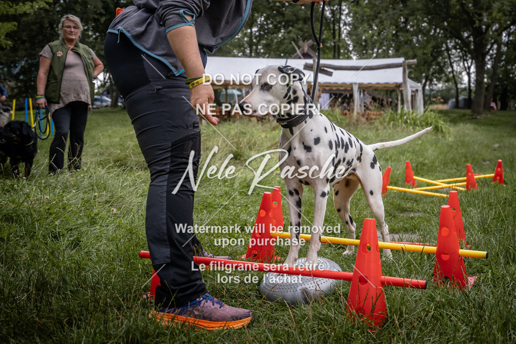 nelerasche_SoEarlyDog_33 | nelerasche