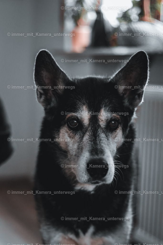 20230311045400_9I4A7080 | immer_mit_kamera_unterwegs