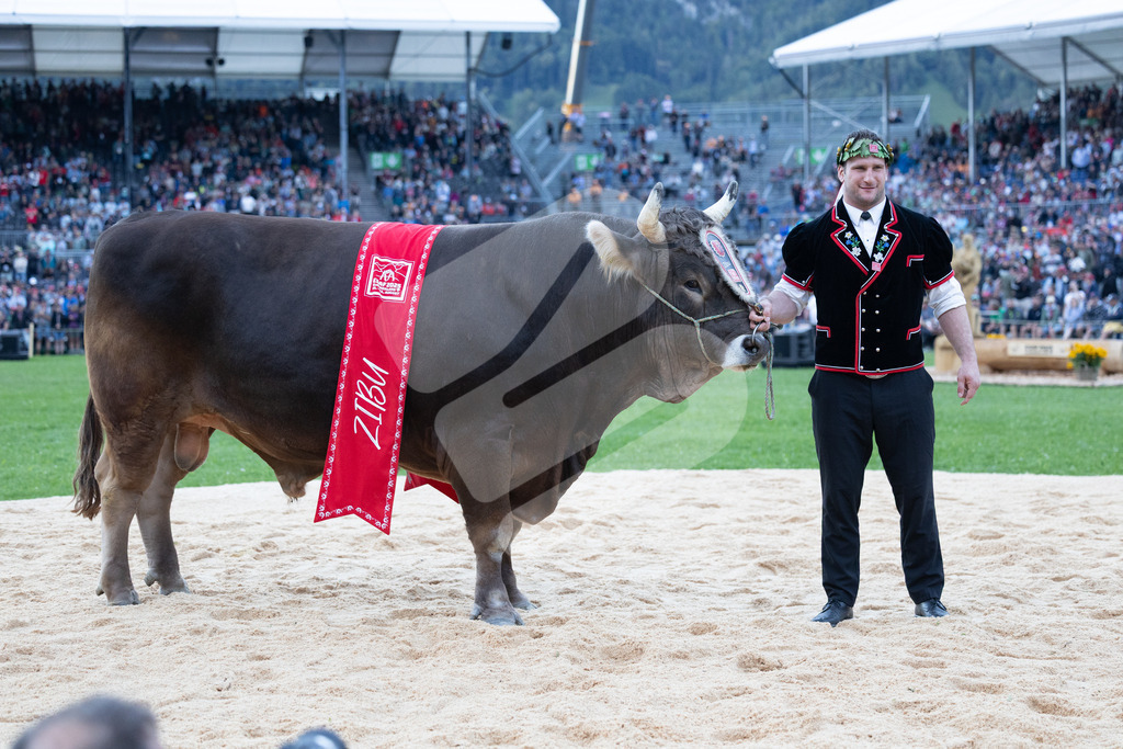 ESAF2025_Ehrung_7337 | Die Schwinger des Schwyzer Kantonalen Schwingerverbandes: Fotos, die Dynamik und Leidenschaft festhalten, sowie emotionale Momente aus dem traditionellen Schwingsport zeigen. - Realisiert mit Pictrs.com