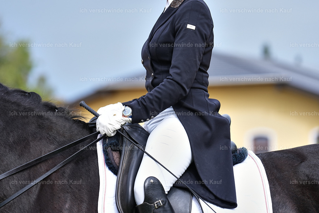 11-007-Dressur S___-Marixx-1700 | working equitationturnier fotograf videograf stoibphotography marixx film working equitation deutschland reitsport turnierfotografie eventfotografie equestrian events