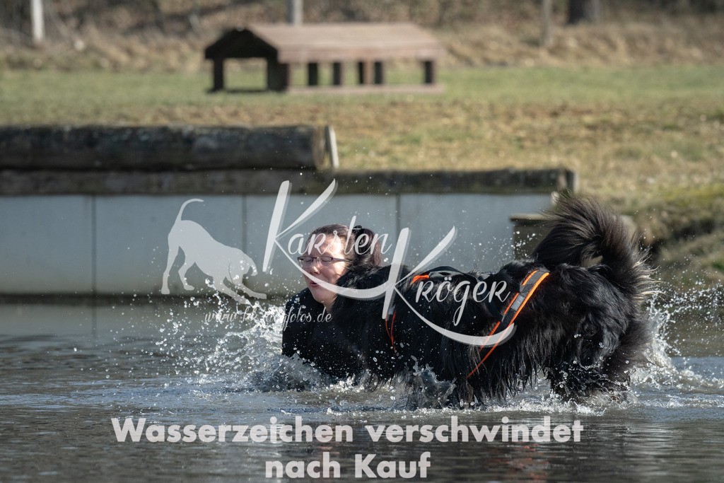 1335_ZZ97368 | kk-dogfotos