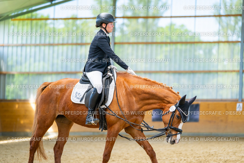 DSC08565 | Pferdegrafie