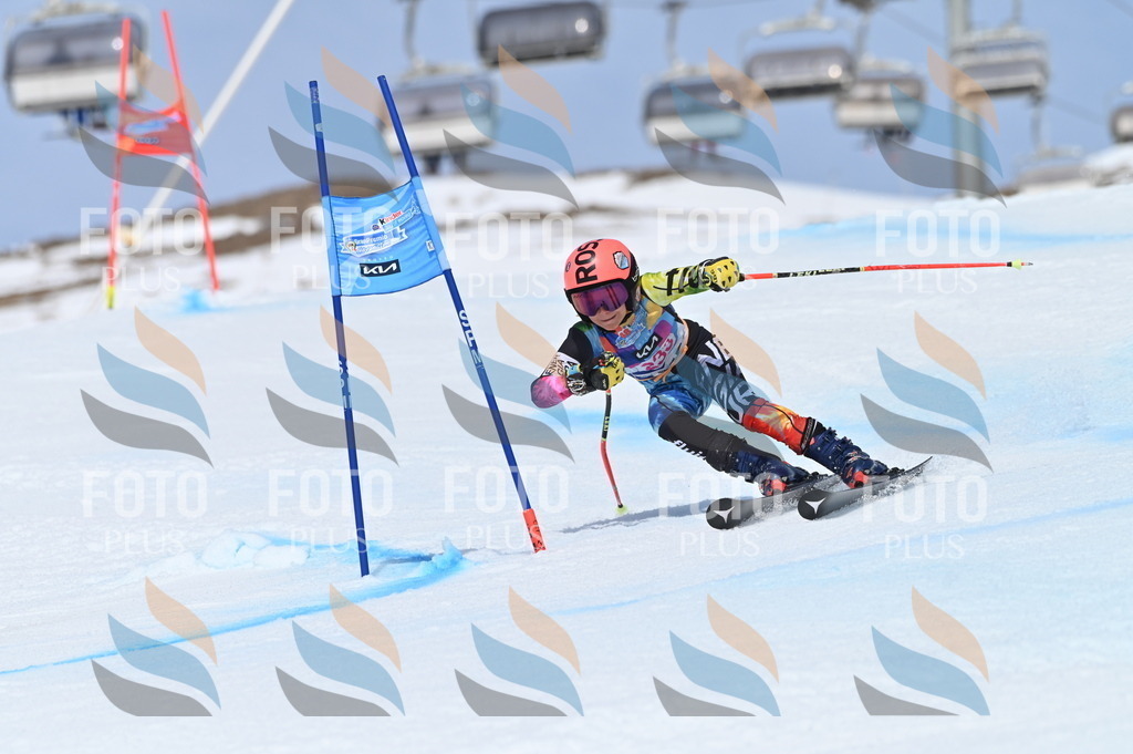 BGV_1557 | holidayphoto