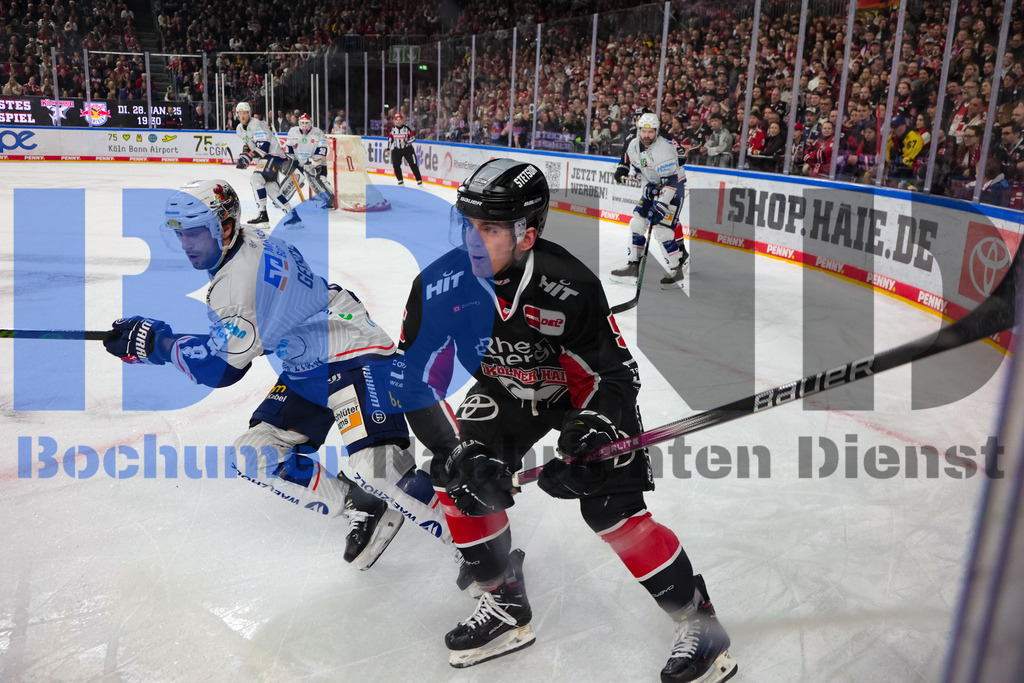 SES_KOLISE20250119-30 | bond - Realisiert mit Pictrs.com