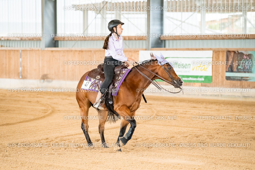 DSC01976 | Pferdegrafie