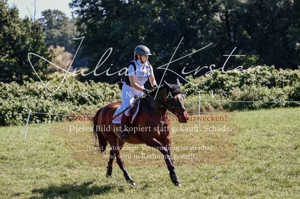 DSC_1528 | Pferde- und Turnierfotografie in Westsachsen. Pferdeportraits, Auftragszeichnungen und intuitive Kunst.