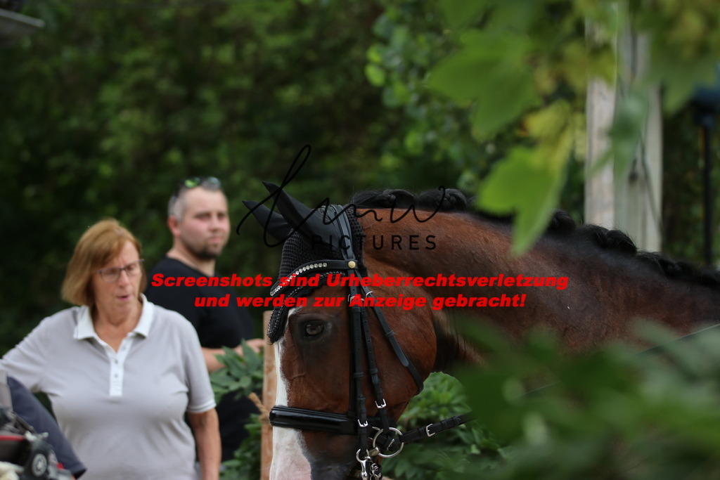 IMG_1428 | lmwpictures - Realisiert mit Pictrs.com