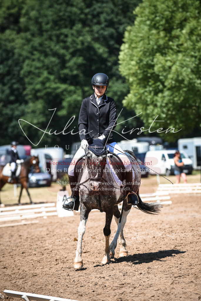 DSC_3207 | Pferde- und Turnierfotografie in Westsachsen. Pferdeportraits, Auftragszeichnungen und intuitive Kunst.