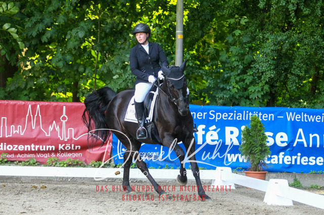 DKP42832 | Turniersportfotografie; Pferdefotografie; Dressurfotografie