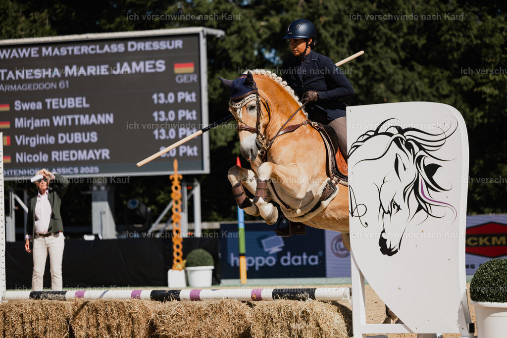 Tanesha5FHC2025-27421 | working equitationturnier fotograf videograf stoibphotography marixx film working equitation deutschland reitsport turnierfotografie eventfotografie equestrian events