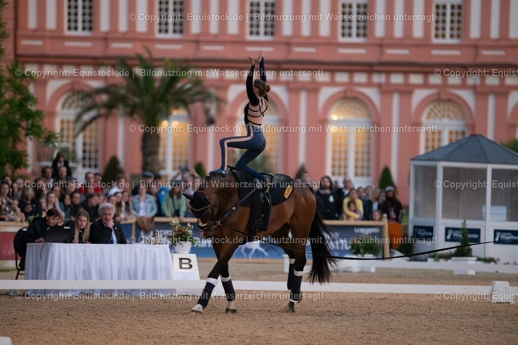 20230527_Voltigieren_NASPA_Flutlicht_0303 | equistock