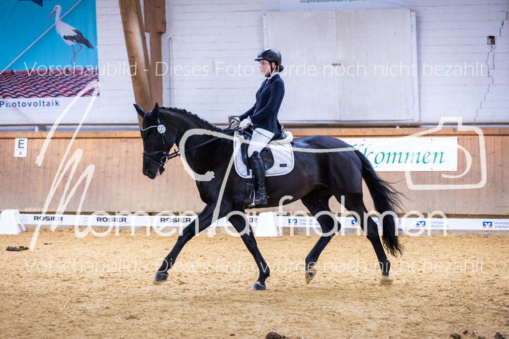 Sth-A-Dre-2St-115 | MomenTaufnahmen Pferdesportfotos