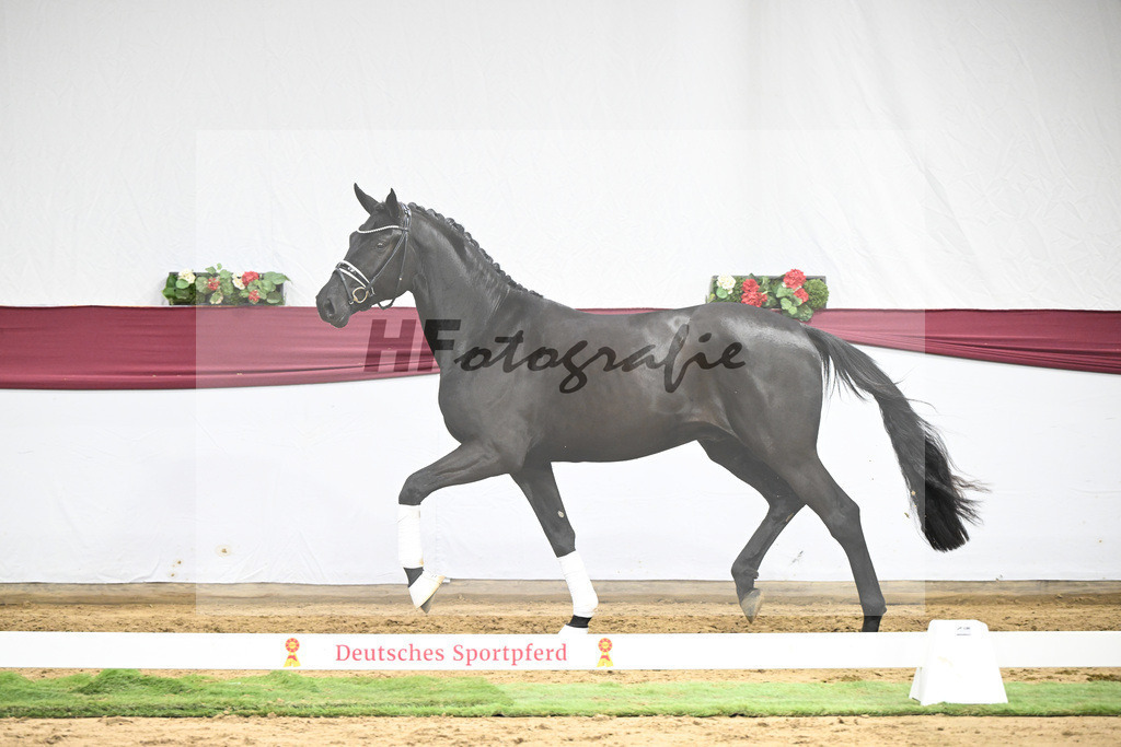 Kat-Nr. 39 Secret x Finest_Ignaz Berger_47251382 | hf-fotografie - Realisiert mit Pictrs.com