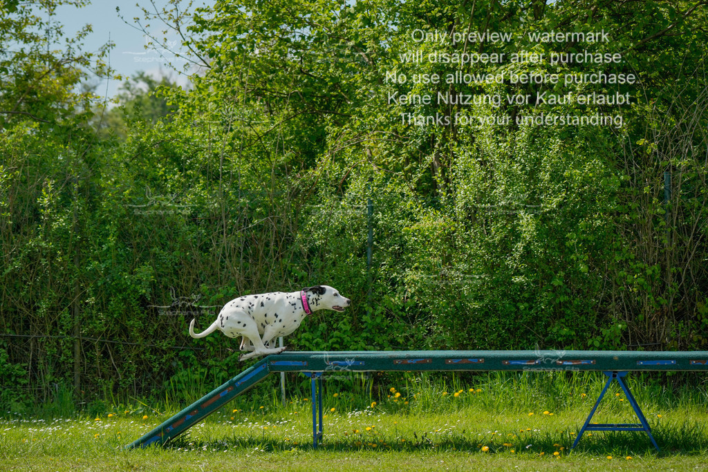 Sa_Laeufe_VK1und2_03-4 | stephaniefillaphotographie - Realisiert mit Pictrs.com