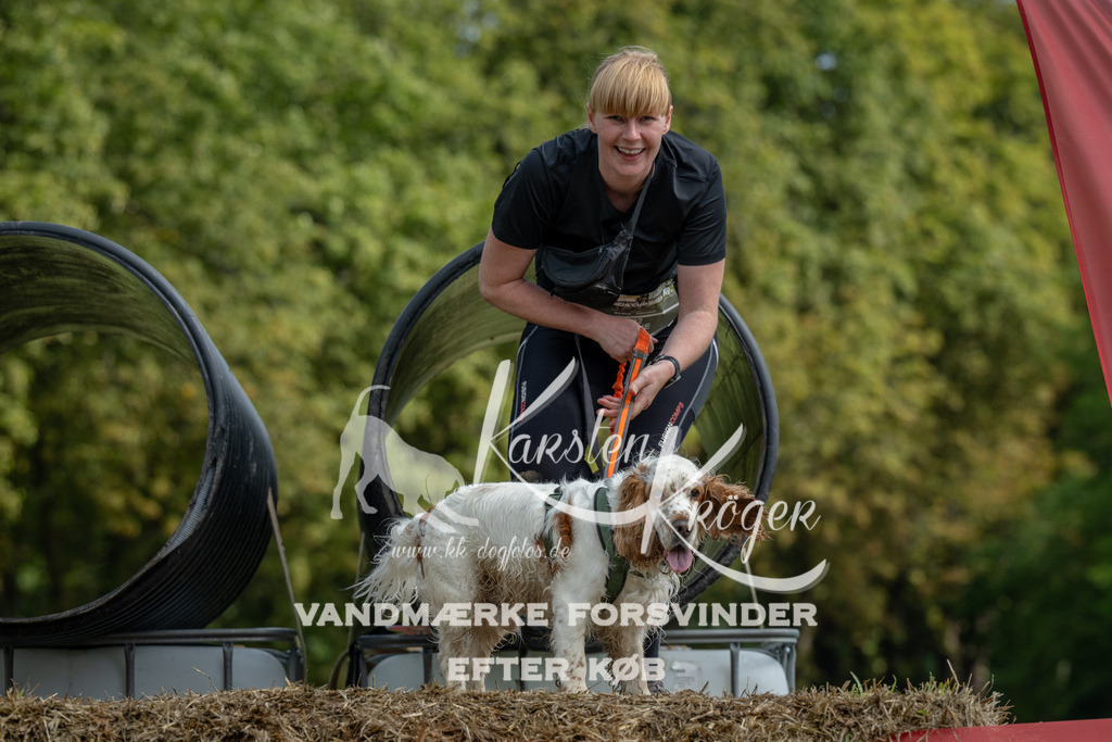 1146_ZZ90337 | kk-dogfotos