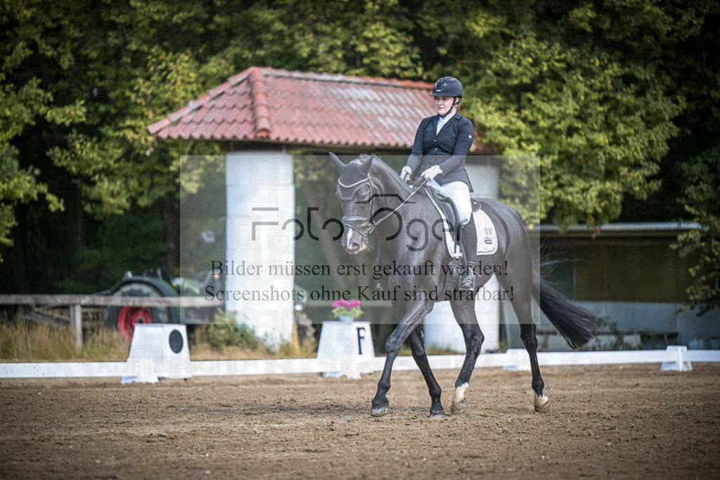 DOS_3639 | Entdecke hochwertige Reitturnierfotos von Foto Oger. Professionell, emotional und authentisch – jetzt Lieblingsmomente im Shop bestellen.Deutschlandweite Turnierfotografie. - Realisiert mit Pictrs.com