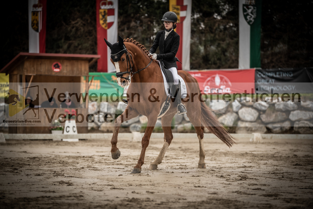 DSC_0240 | equestrian-live-com