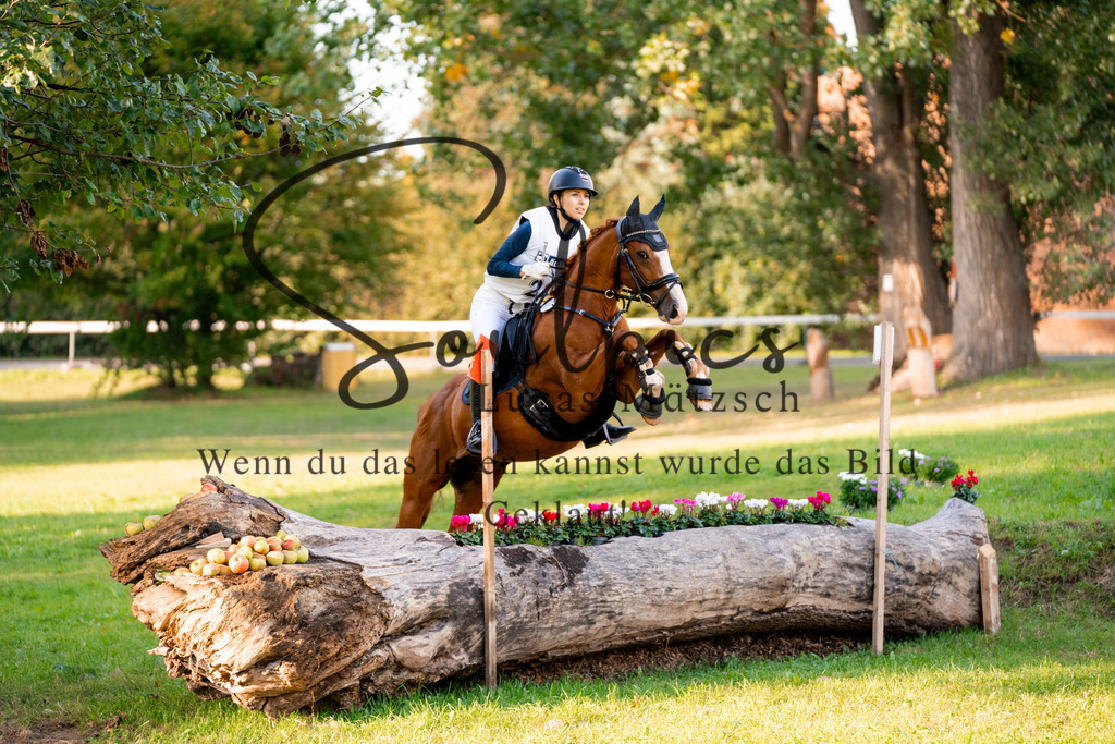 A7V03061 | Turnier/Reitfotograf
