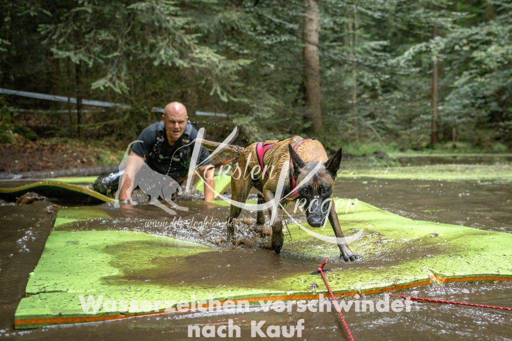 1540_ZZ91852-Bearbeitet | kk-dogfotos