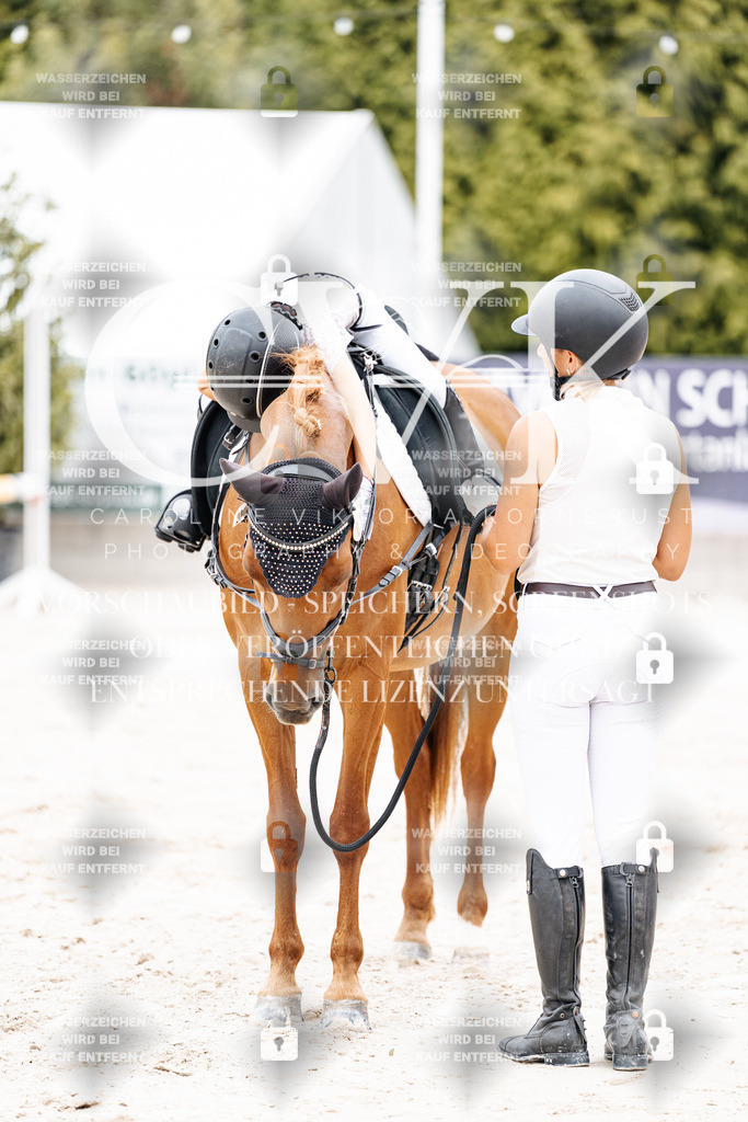 CK907439 | Turnierfotografie Pferdefotografie Trier Rheinland-Pfalz Pferdesport Reitsport Tierfotografie Sportfotografie Pferdevideo Pferdevideografie Equestrianvideography equestrianphotography  - Realisiert mit Pictrs.com