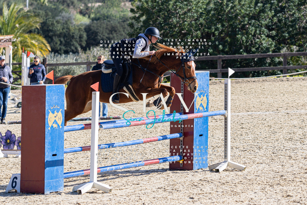 IMG_5415 | s-jay-photography - Realisiert mit Pictrs.com