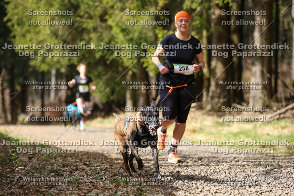 Dog Paparazzi - VCC26-357 | Dog Paparazzi Jeanette Grottendiek Fotografie & Videografie - Realisiert mit Pictrs.com