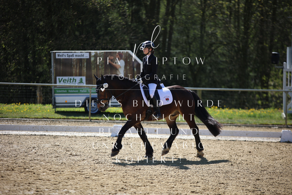 IMGT0289 | pl-fotografie