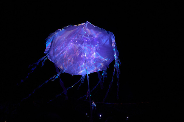 _DSF7302-OzoraPt5 | blende43