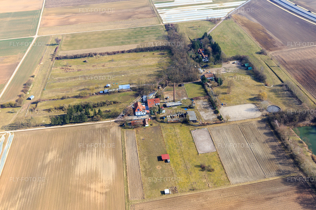 Luftbild: Reitstall Spieß in Harthausen im Bundesland Rheinland-Pfalz in Deutschland. Foto: IMG_097120.jpg vom 25.02.2017 durch Werner Riehm/FLY-FOTO.de