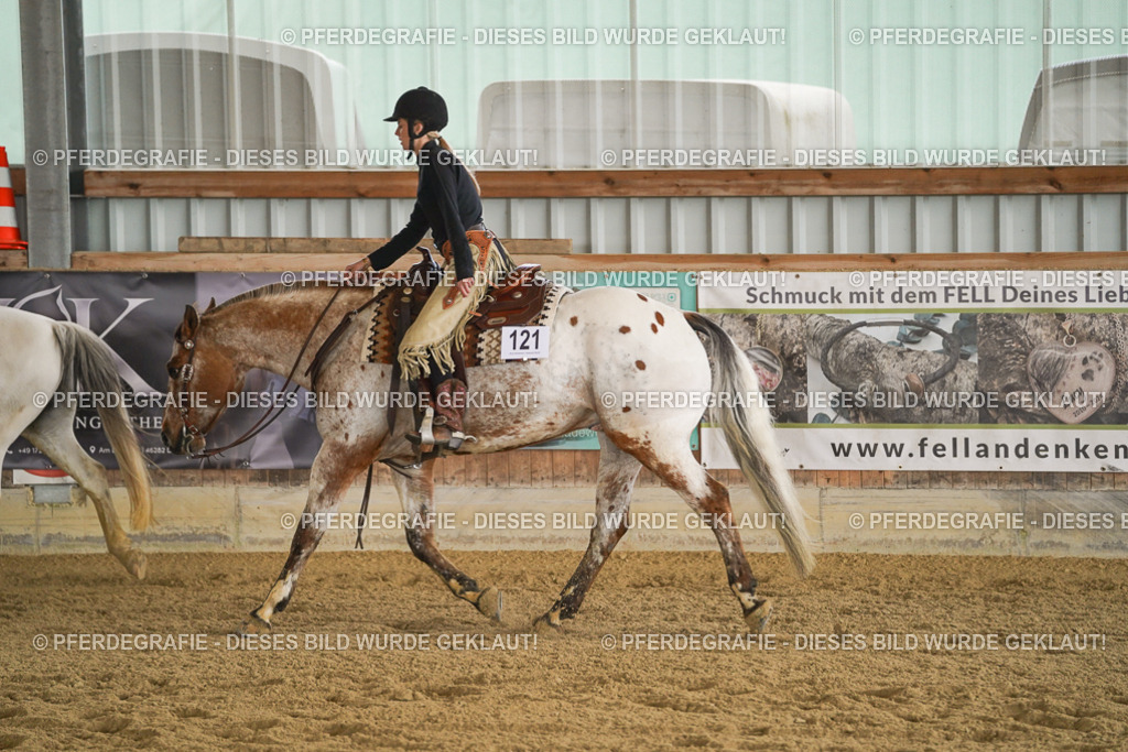 DSC08608 | Pferdegrafie