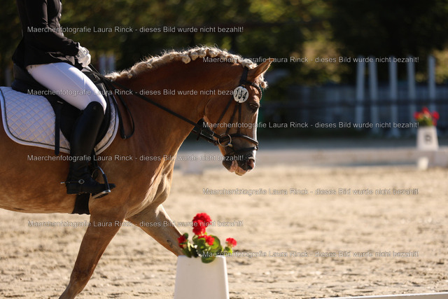 HG9A8179 | laurarinckfotografie - Realisiert mit Pictrs.com