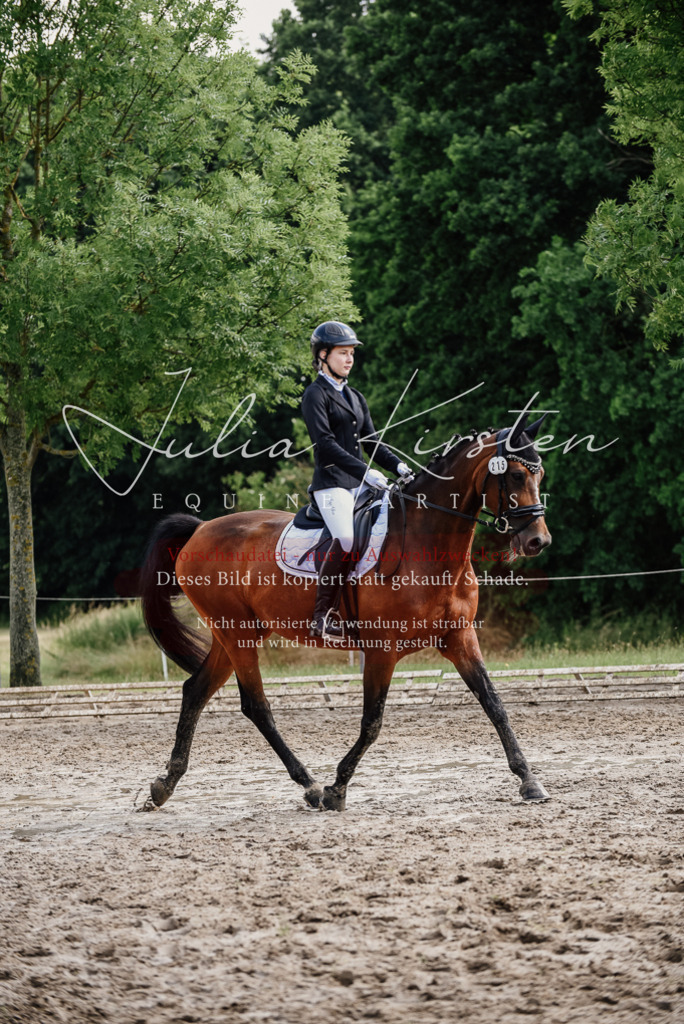 DSC_0434 | Pferde- und Turnierfotografie in Westsachsen. Pferdeportraits, Auftragszeichnungen und intuitive Kunst.