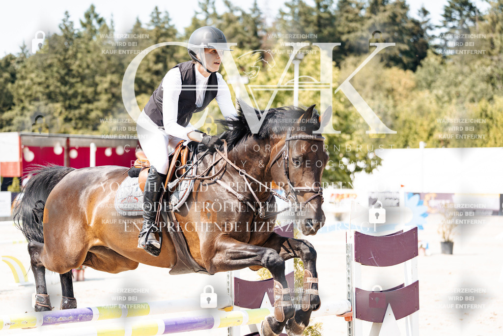 CK901516 | Turnierfotografie Pferdefotografie Trier Rheinland-Pfalz Pferdesport Reitsport Tierfotografie Sportfotografie Pferdevideo Pferdevideografie Equestrianvideography equestrianphotography  - Realisiert mit Pictrs.com