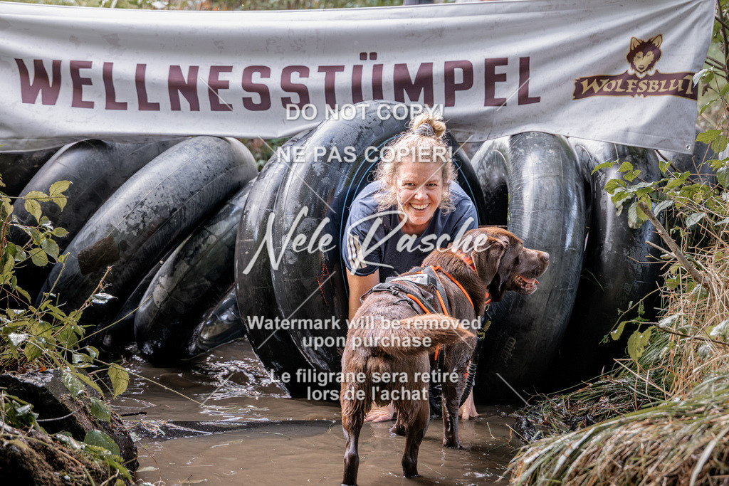 nelerasche_Hunsrück2026_Sa1400-1500_346 | nelerasche