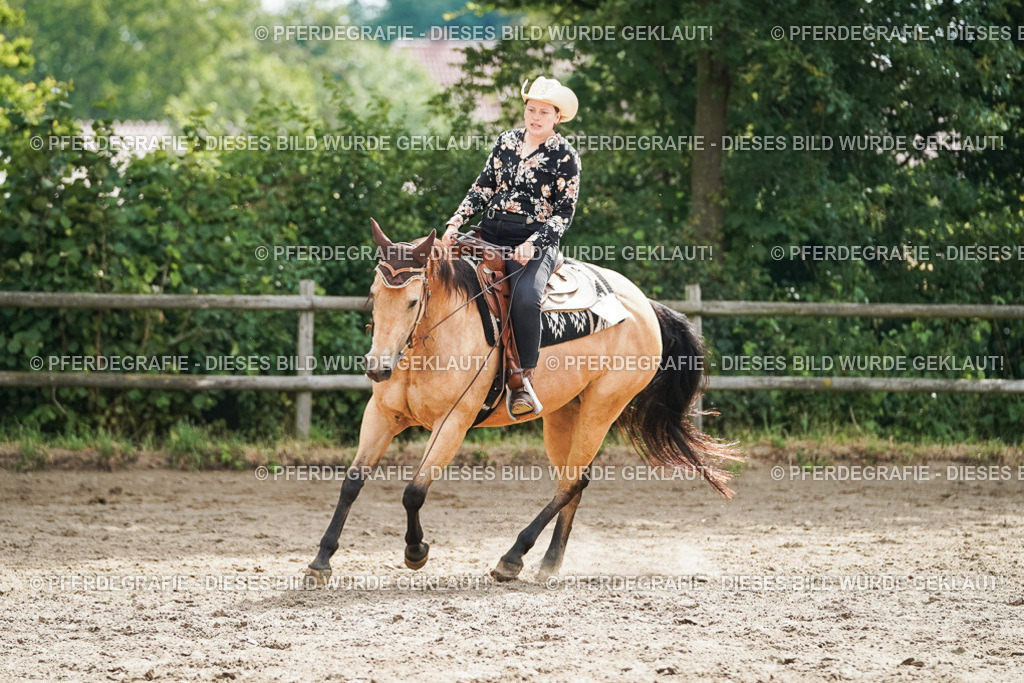 DSC04219 | Pferdegrafie