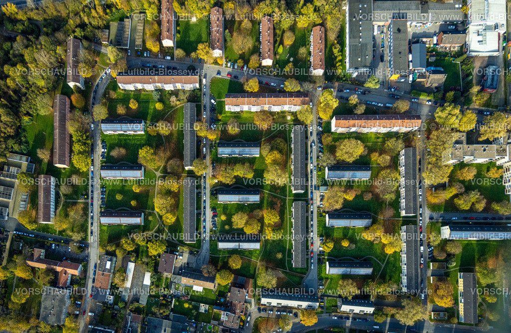 Gelsenkirchen221101679suedlich | Luftbild, Wohnhaussiedlung Dächer, Wohnblock Reihenhäuser Greifswalder Straße, Bäume in Herbstfarben, Bismarck, Gelsenkirchen, Ruhrgebiet, Nordrhein-Westfalen, Deutschland