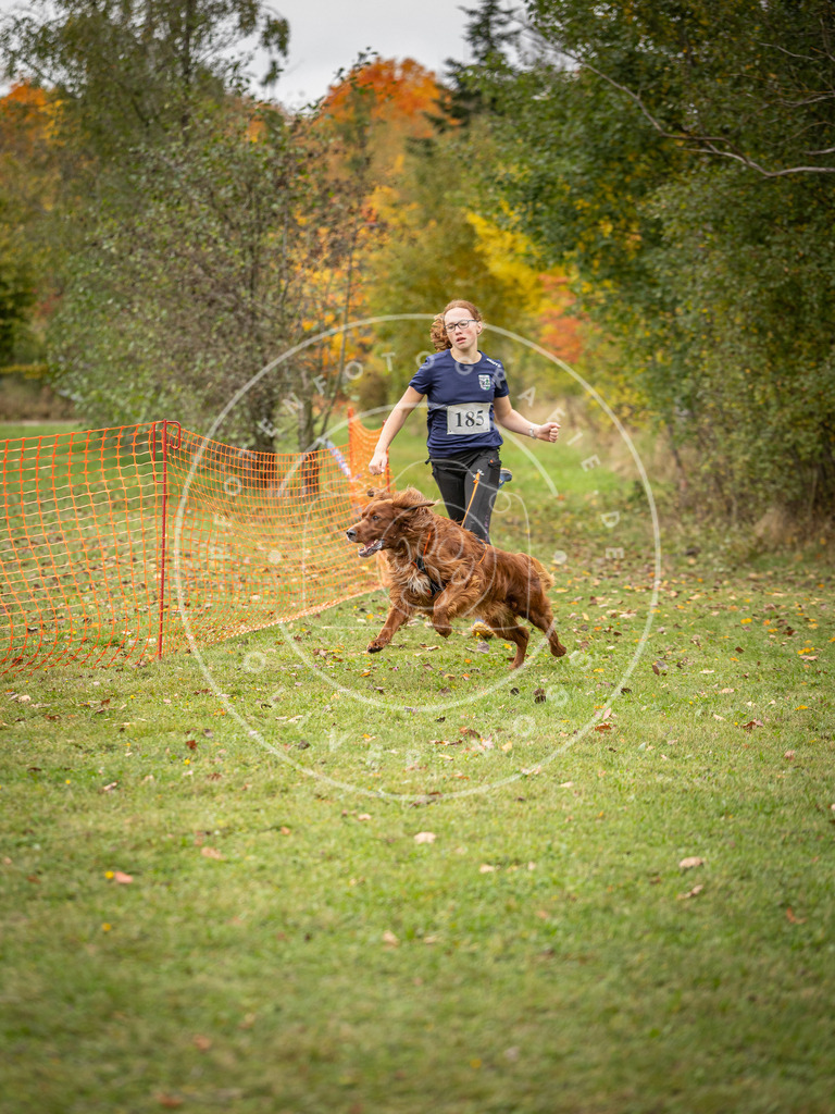 Pfotenfotografie_DV3A3743 | Hundefotografie, Tierfotograf, Pfotenfotografie, Fotoshooting Hund, Hunde Portrait, Hundesport, Hundeportraits, Heideshooting, Hunde, Sportfotograf, Hundefotograf, Turnierhundsport, THS,  - Realisiert mit Pictrs.com