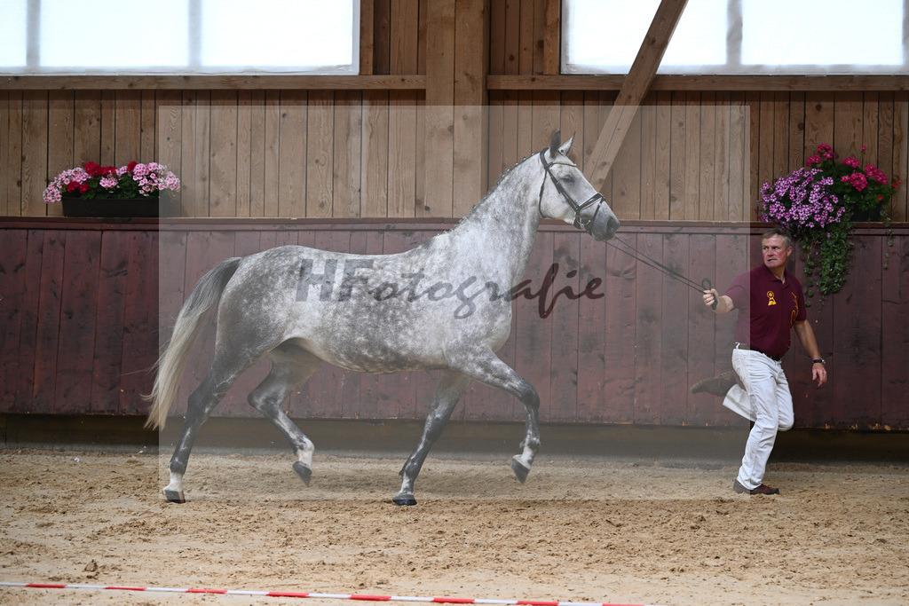 Kat-Nr. 8 HF Grey Top_Stoeckle_26230062 | hf-fotografie - Realizzato con Pictrs.com